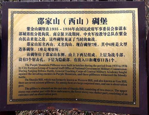 说你很傻