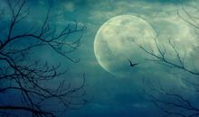 有关月亮的诗句大全