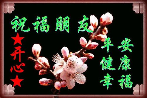 希望的一周