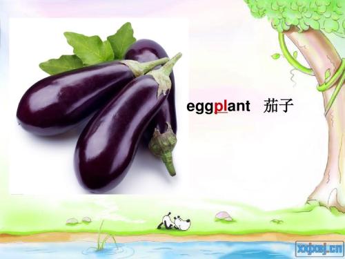 茄子写具象句