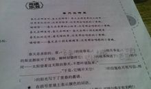 写迎春花的比喻句