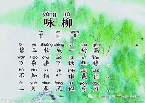 关于柳树的寓言