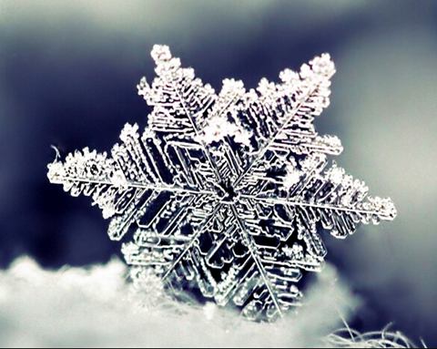 雪是好句子