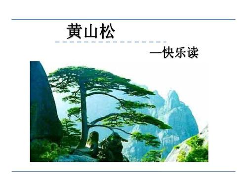 描写黄山松的诗