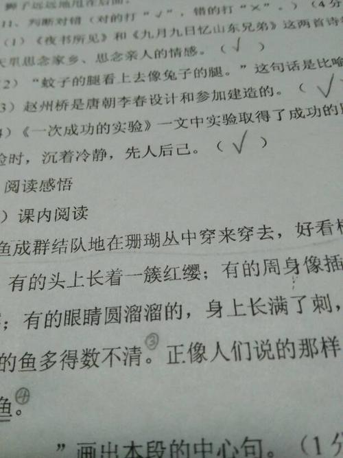 兔子的寓言