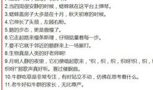 说30个拟人句