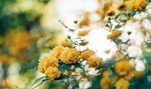 2020年最幸福的句子