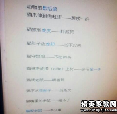 寓言词来形容神经质和兴奋