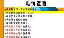 保险公司销售团队口号