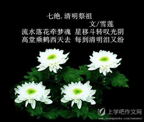 清明节祝福文