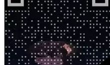 抖音最火告白句子