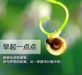 励志词和图片（25个精选句子）1