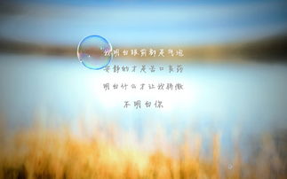 我看到悲伤的句子，想哭