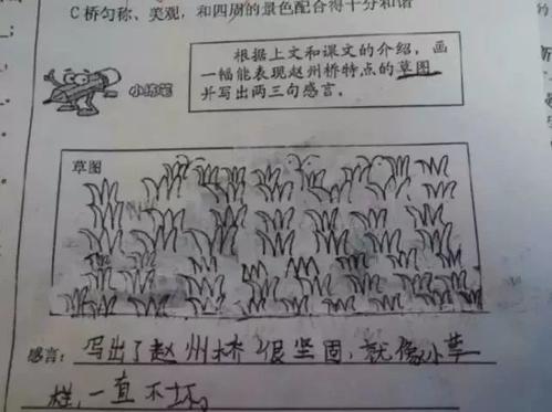 肚皮