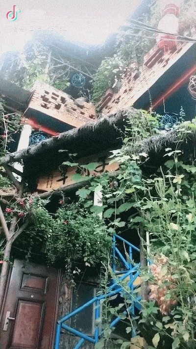 豆阴句很热情