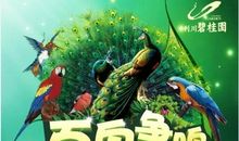 百鸟展翅歇后语