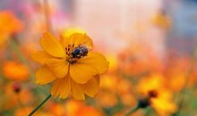 乐观人生的句子