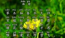 描写温柔女孩的句子