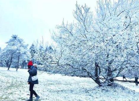 雪景句