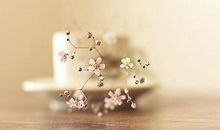 有哲理的句子的配图：如果你失败了，千万别忘了汲取教训