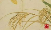 车道里的泥鳅歇后语