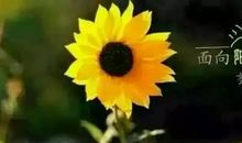 2020最精辟最火的句子