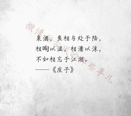 情感句子经典语录