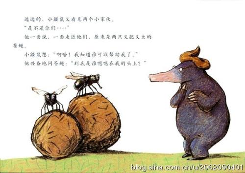 苍蝇咬鸡蛋