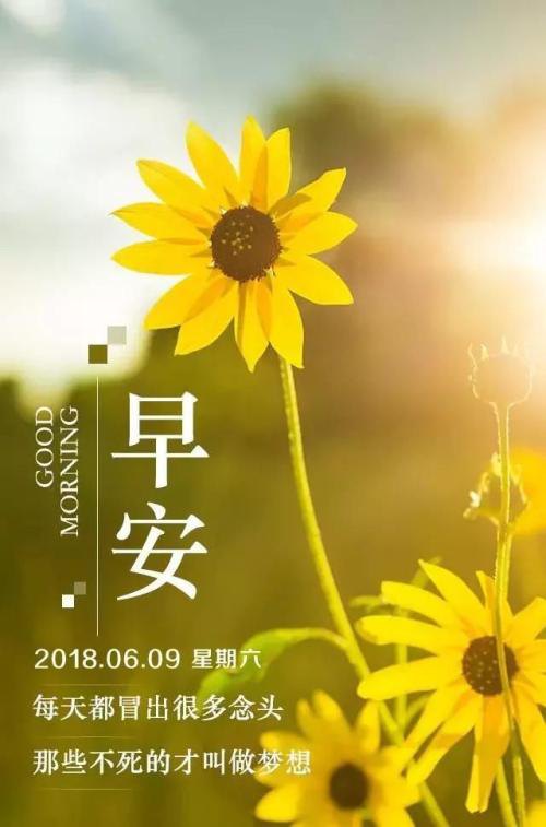 关于身体健康的正能量句子