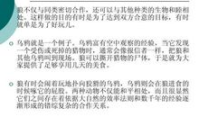 工作感悟及心得句子