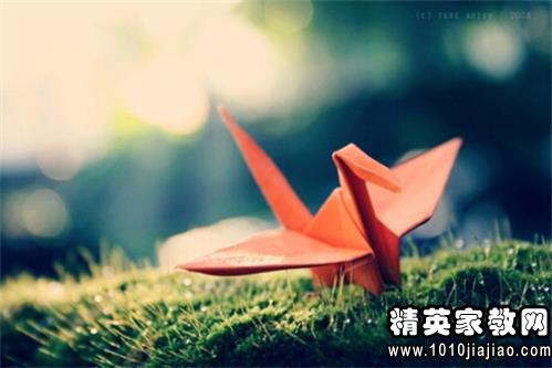 毕业后给老师的好话