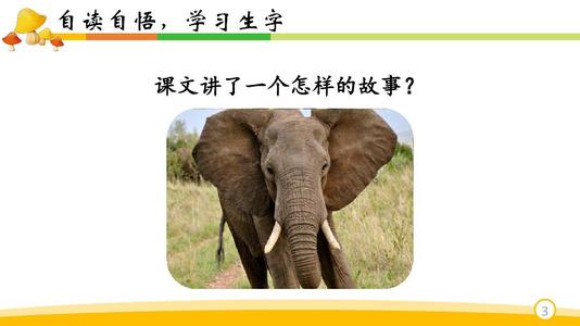 人耳的隐喻