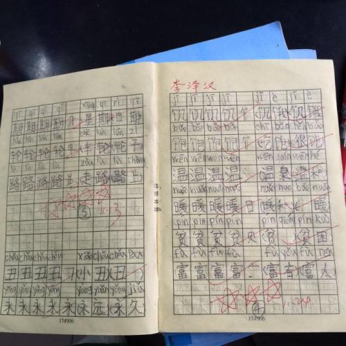 用杨树写隐喻