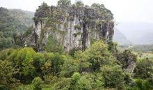 石笋像什么比喻句