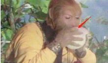 孙猴子吃蟠桃歇后语