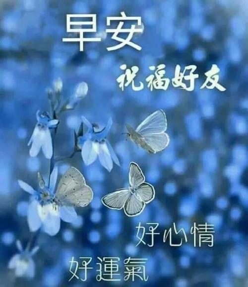 2020年最流行的句子
