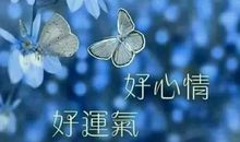 2020年最流行的语句