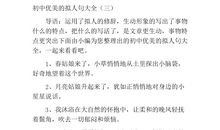 拟人句初中的