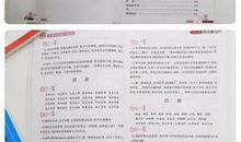 茶花女好词好句好段落