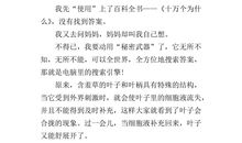 描写含羞草比喻句