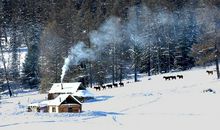 关于冰花的比喻句