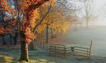 形容秋风的比喻句