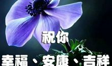 清晨给朋友的祝福语