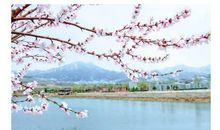 沉淀自己的句子