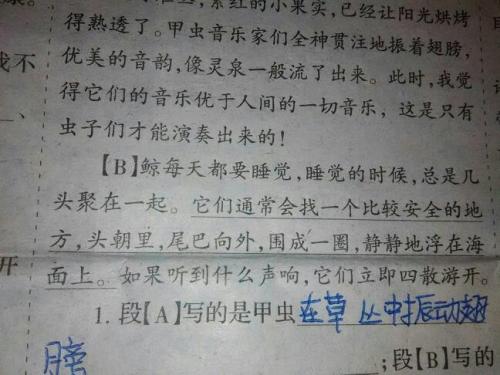 拟人化的句子