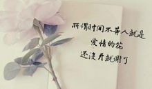 唯美到心碎的句子长