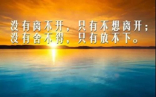 病人报价