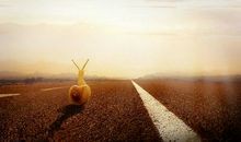 你付出一分的努力，就能得到一分的收获