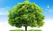 校园环保英语标语