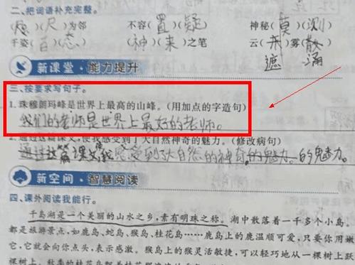 大多数句子